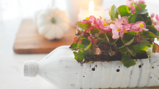 Turn a plastic bottle into a lovely planter and leave it better than you found it.
