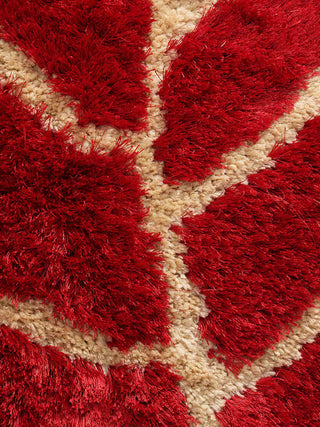 FABINALIV Red Floral Polyester Door Mat (62X42 cm)