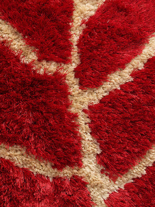 FABINALIV Set of 2 Red Floral Polyester Door Mats (62X42 cm)