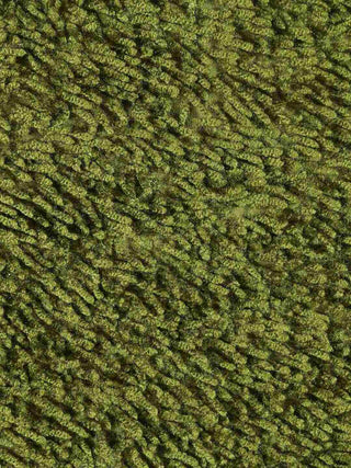FABINALIV Set of 2 Green Solid Cotton Blend Door Mats (70X45 cm)