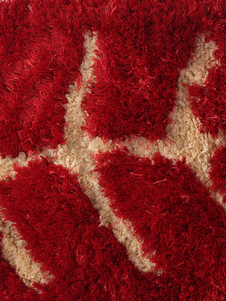 FABINALIV Red Floral Polyester Door Mat (92X38 cm)