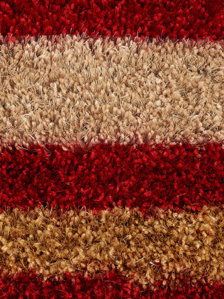 FABINALIV Red Striped Polyester Door Mat (60X40 cm)